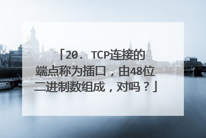 20. TCP连接的端点称为插口，由48位二进制数组成，对吗？