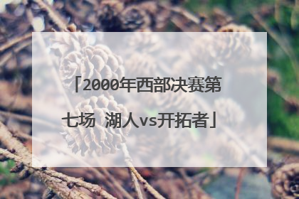 2000年西部决赛第七场 湖人vs开拓者