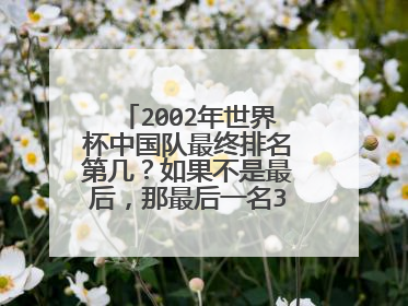 2002年世界杯中国队最终排名第几？如果不是最后，那最后一名32名是谁？