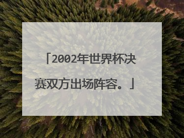 2002年世界杯决赛双方出场阵容。