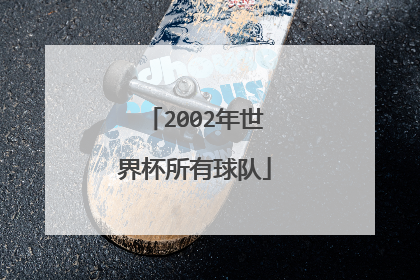 2002年世界杯所有球队