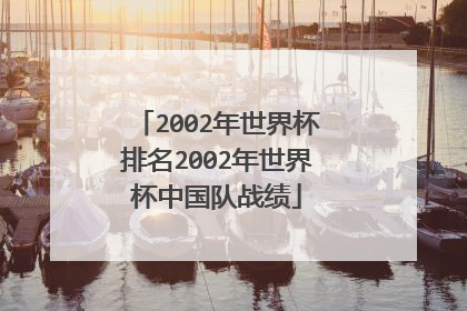 2002年世界杯排名2002年世界杯中国队战绩