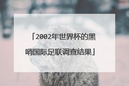 2002年世界杯的黑哨国际足联调查结果