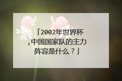2002年世界杯,中国国家队的主力阵容是什么？
