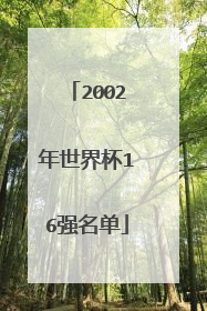 2002年世界杯16强名单