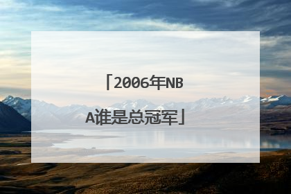 2006年NBA谁是总冠军