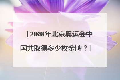 2008年北京奥运会中国共取得多少枚金牌?