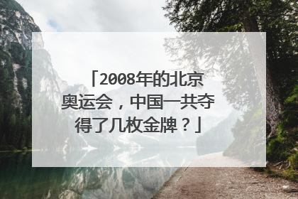 2008年的北京奥运会,中国一共夺得了几枚金牌?
