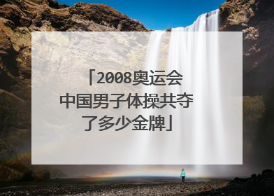 2008奥运会中国男子体操共夺了多少金牌
