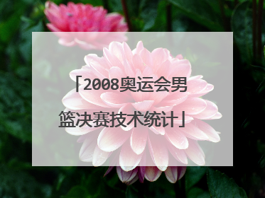 2008奥运会男篮决赛技术统计