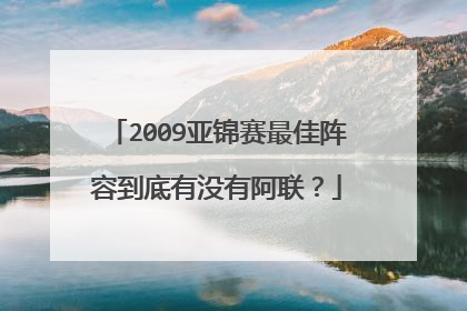 2009亚锦赛最佳阵容到底有没有阿联？