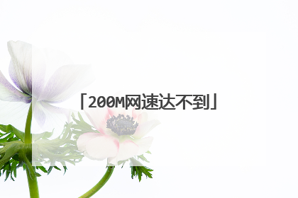 200M网速达不到