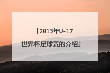 2013年U-17世界杯足球赛的介绍