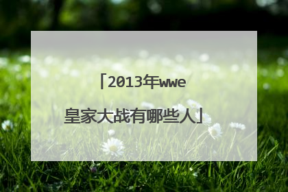 2013年wwe皇家大战有哪些人