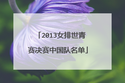 2013女排世青赛决赛中国队名单