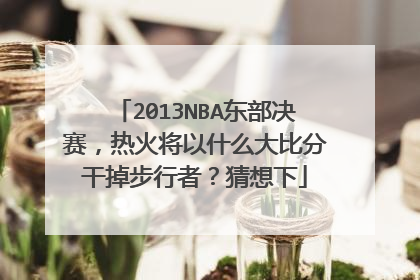 2013NBA东部决赛，热火将以什么大比分干掉步行者？猜想下