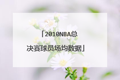 2010NBA总决赛球员场均数据