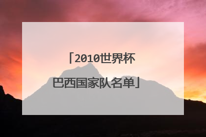 2010世界杯巴西国家队名单