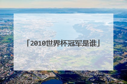 2010世界杯冠军是谁