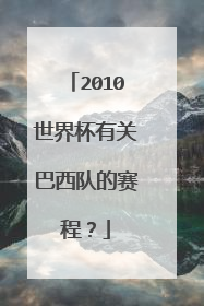 2010世界杯有关巴西队的赛程？