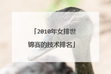 2010年女排世锦赛的技术排名