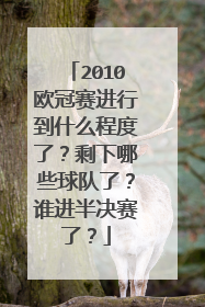 2010欧冠赛进行到什么程度了？剩下哪些球队了？谁进半决赛了？