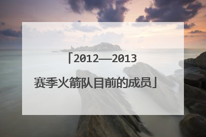2012——2013赛季火箭队目前的成员