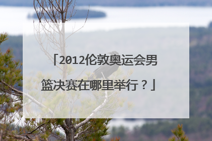 2012伦敦奥运会男篮决赛在哪里举行？