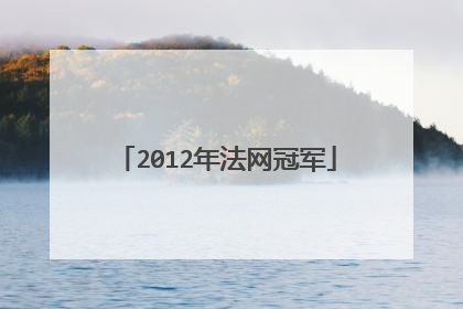 2012年法网冠军