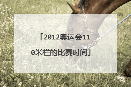 2012奥运会110米栏的比赛时间