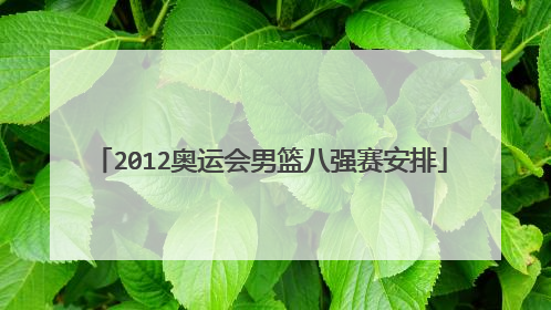 2012奥运会男篮八强赛安排