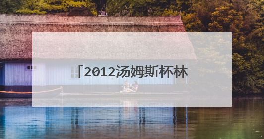 2012汤姆斯杯林丹对刘国伦几比几