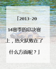 2013-2014赛季的总决赛上，热火队败在了什么方面呢？