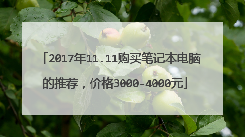 2017年11.11购买笔记本电脑的推荐,价格3000-4000元