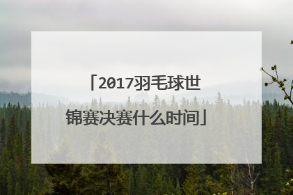2017羽毛球世锦赛决赛什么时间