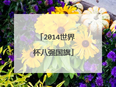 2014世界杯八强国旗
