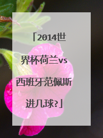 2014世界杯荷兰vs西班牙范佩斯进几球?