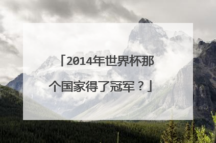 2014年世界杯那个国家得了冠军？