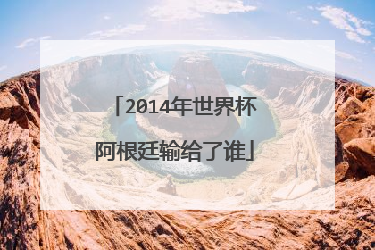 2014年世界杯阿根廷输给了谁