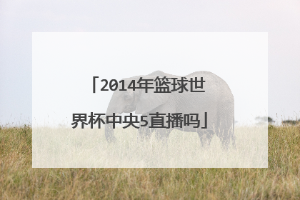 2014年篮球世界杯中央5直播吗