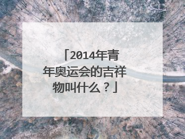 2014年青年奥运会的吉祥物叫什么？
