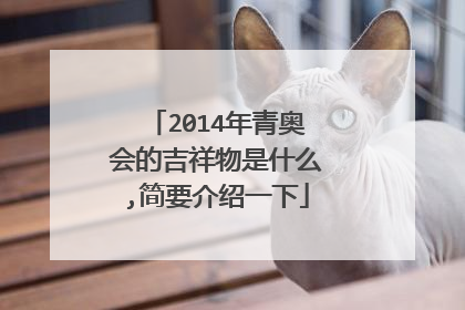2014年青奥会的吉祥物是什么,简要介绍一下