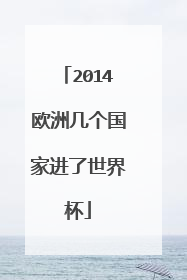 2014欧洲几个国家进了世界杯