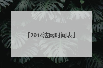 2014法网时间表