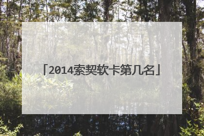 2014索契软卡第几名