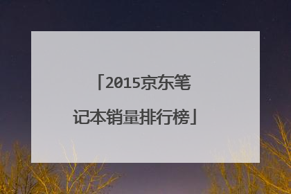 2015京东笔记本销量排行榜