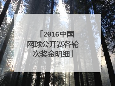 2016中国网球公开赛各轮次奖金明细