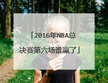 2016年NBA总决赛第六场谁赢了