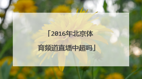 2016年北京体育频道直墦中超吗