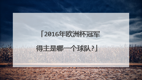 2016年欧洲杯冠军得主是哪一个球队?
